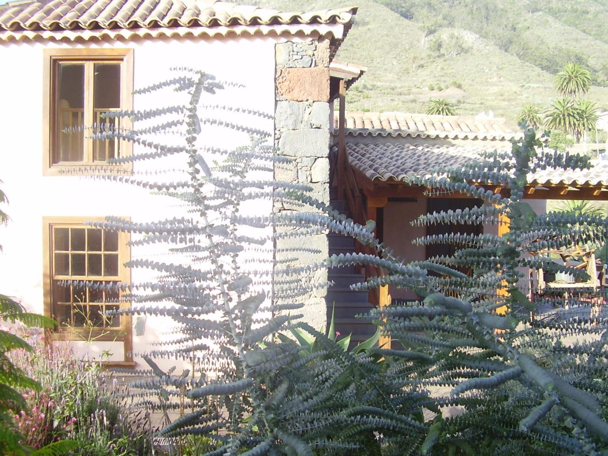 Apartamento Casa Doña Justa Tegueste Exterior foto